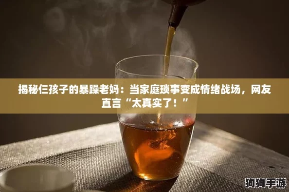 揭秘仨孩子的暴躁老妈:当家庭琐事变成情绪战场,网友直言“太真实了!” 揭秘仨孩子的暴躁老妈:当家庭琐事变成情绪战场,网友直言“太真实了!”