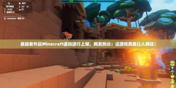 暴躁老外玩Minecraft通知进行上架，网友热议：这游戏真能让人疯狂！