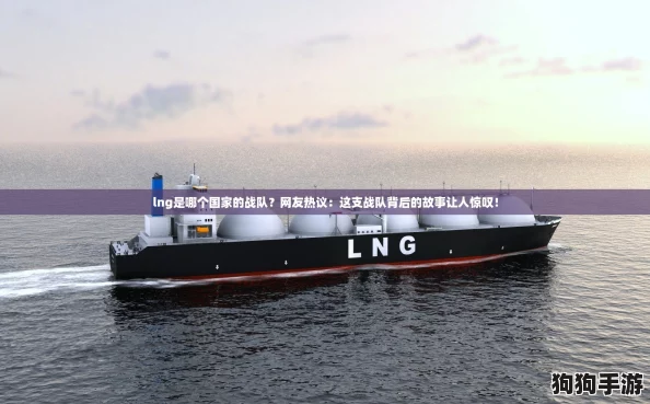 lng是哪个国家的战队？网友热议：这支战队背后的故事让人惊叹！