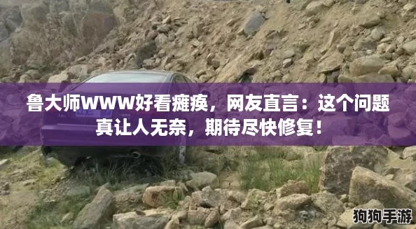 鲁大师WWW好看瘫痪，网友直言：这个问题真让人无奈，期待尽快修复！