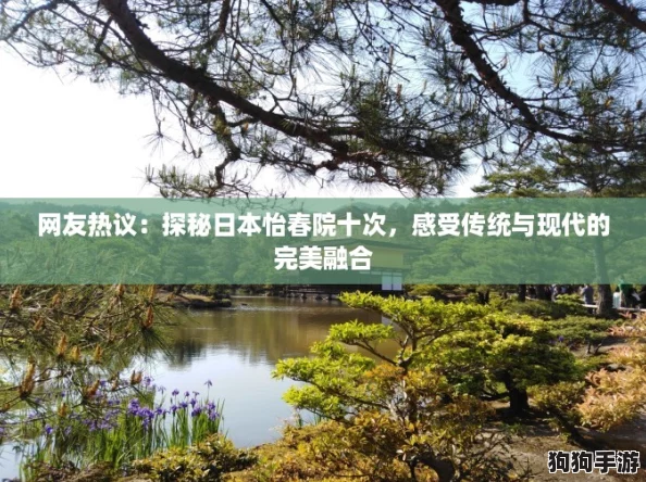 网友热议：探秘日本怡春院十次，感受传统与现代的完美融合