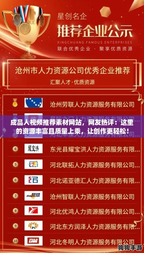 成品人视频推荐素材网站，网友热评：这里的资源丰富且质量上乘，让创作更轻松！