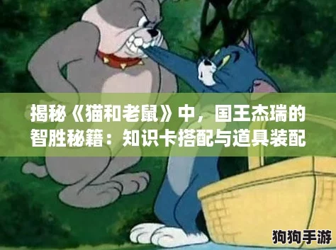 揭秘《猫和老鼠》中，国王杰瑞的智胜秘籍：知识卡搭配与道具装配全攻略！