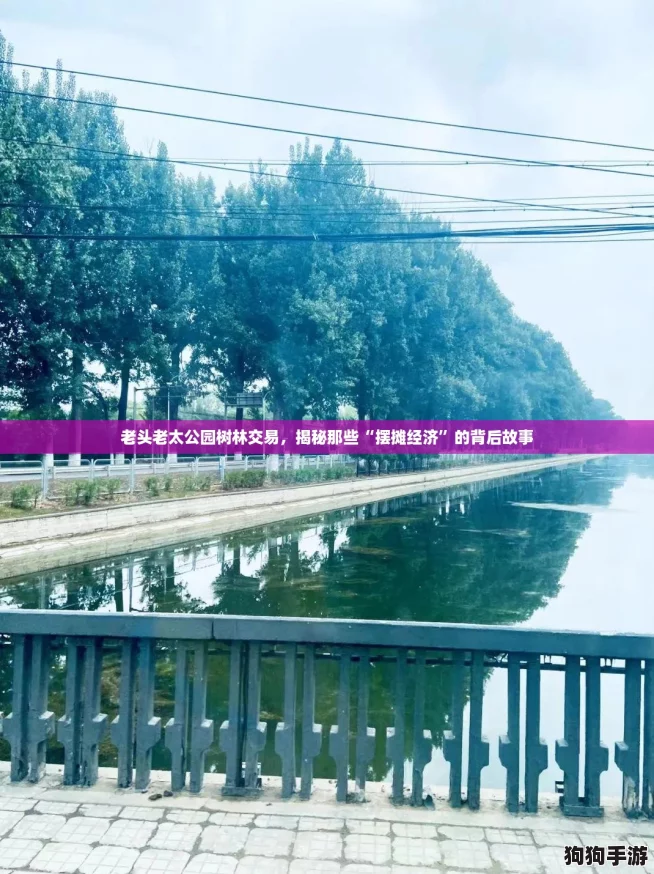 老头老太公园树林交易,揭秘那些“摆摊经济”的背后故事 老头老太公园树林交易,揭秘那些“摆摊经济”的背后故事