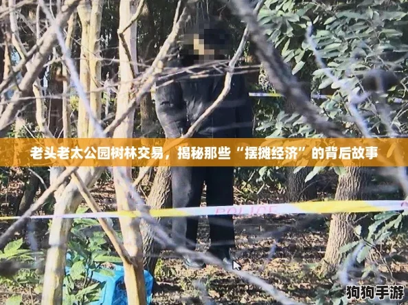 老头老太公园树林交易,揭秘那些“摆摊经济”的背后故事 老头老太公园树林交易,揭秘那些“摆摊经济”的背后故事