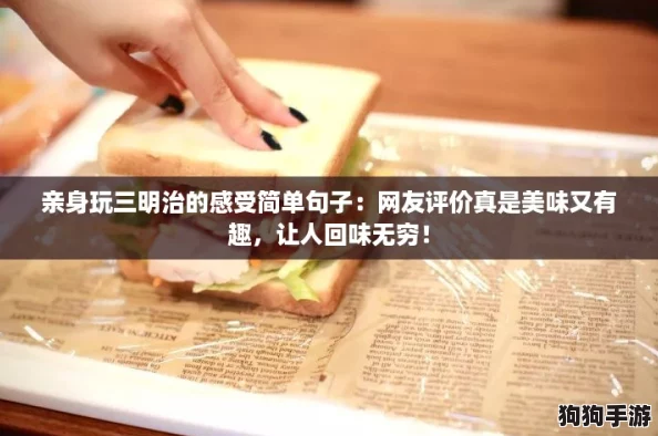 亲身玩三明治的感受简单句子：网友评价真是美味又有趣，让人回味无穷！