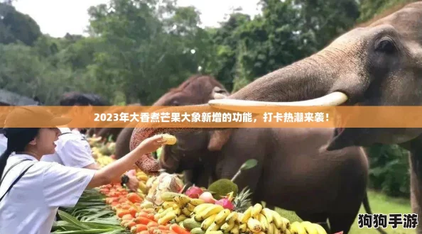 2023年大香煮芒果大象新增的功能，打卡热潮来袭！