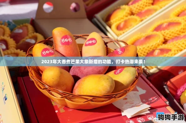 2023年大香煮芒果大象新增的功能，打卡热潮来袭！