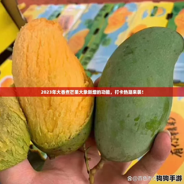 2023年大香煮芒果大象新增的功能，打卡热潮来袭！