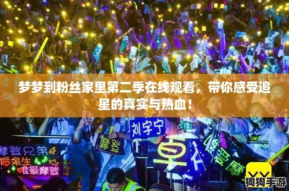 梦梦到粉丝家里第二季在线观看，带你感受追星的真实与热血！