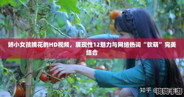 娇小女孩摘花的HD视频，展现性12魅力与网络热词“软萌”完美结合