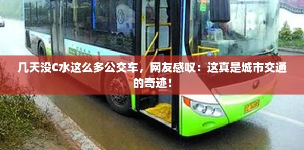 几天没C水这么多公交车，网友感叹：这真是城市交通的奇迹！