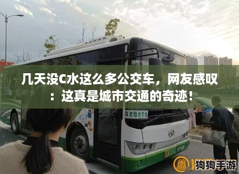 几天没C水这么多公交车，网友感叹：这真是城市交通的奇迹！