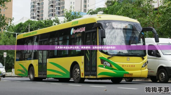 几天没C水这么多公交车，网友感叹：这真是城市交通的奇迹！