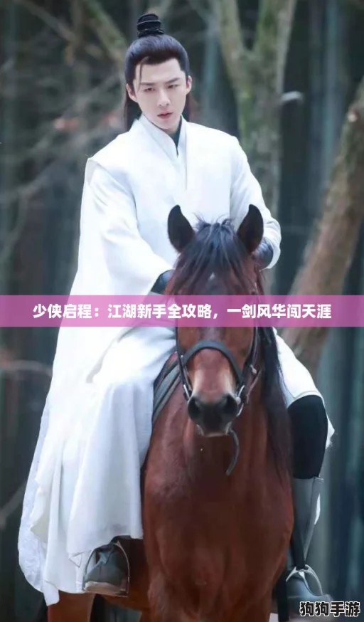 少侠启程:江湖新手全攻略,一剑风华闯天涯 少侠启程:江湖新手全攻略,一剑风华闯天涯