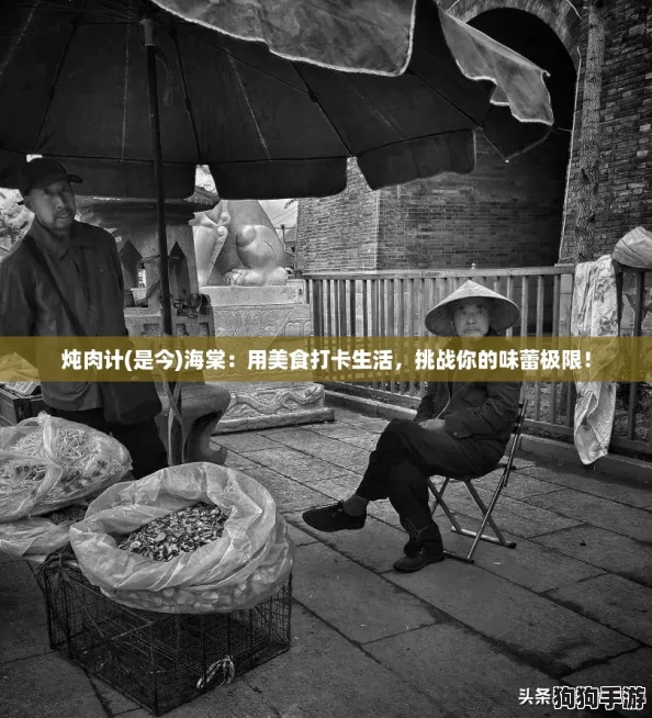 炖肉计(是今)海棠：用美食打卡生活，挑战你的味蕾极限！
