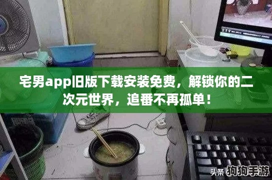 宅男app旧版下载安装免费，解锁你的二次元世界，追番不再孤单！