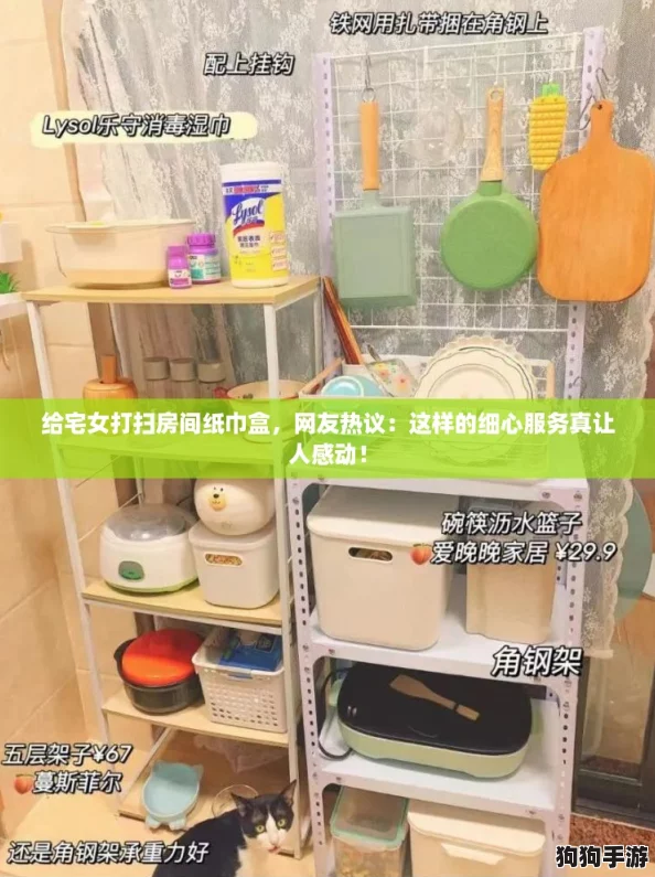 给宅女打扫房间纸巾盒，网友热议：这样的细心服务真让人感动！