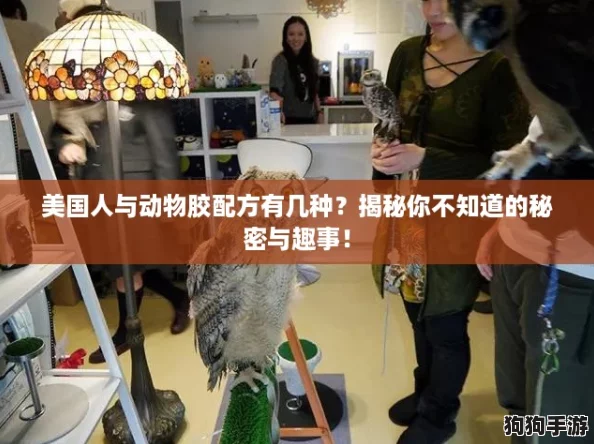 美国人与动物胶配方有几种？揭秘你不知道的秘密与趣事！