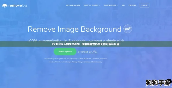 PYTHON人狗大CSDN：探索编程世界的无限可能与乐趣！