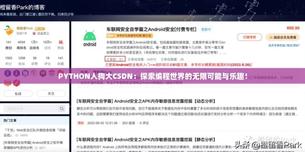 PYTHON人狗大CSDN：探索编程世界的无限可能与乐趣！