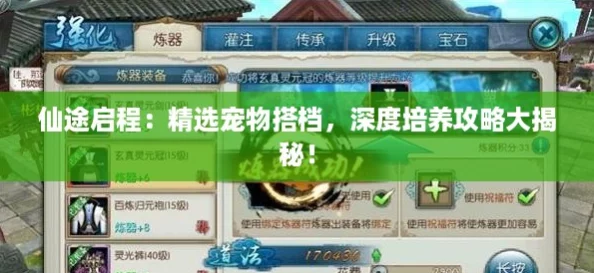 仙途启程：精选宠物搭档，深度培养攻略大揭秘！