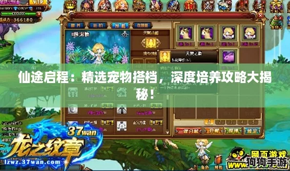 仙途启程：精选宠物搭档，深度培养攻略大揭秘！