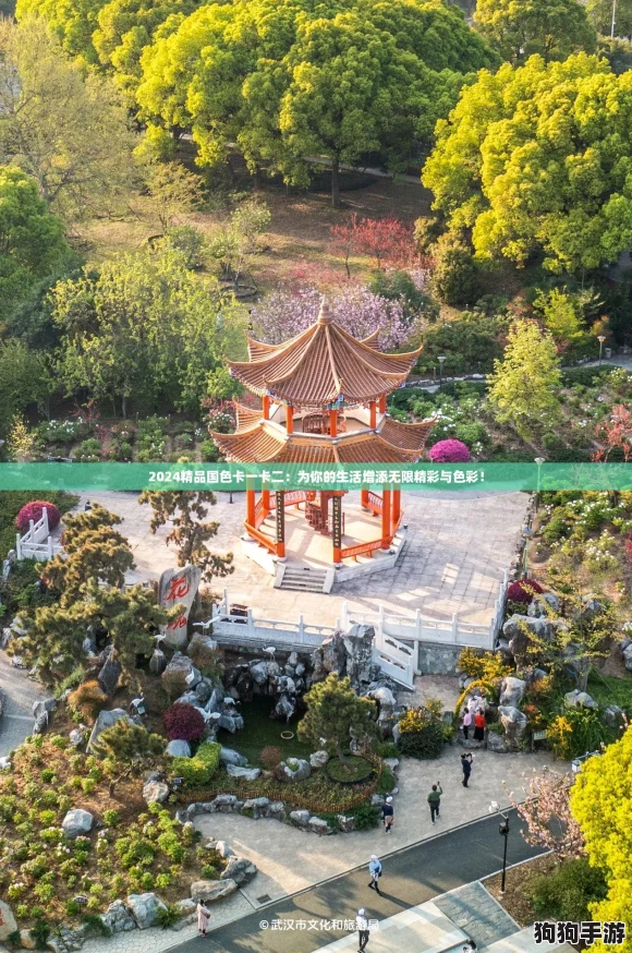 2024精品国色卡一卡二：为你的生活增添无限精彩与色彩！