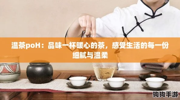 温茶poH：品味一杯暖心的茶，感受生活的每一份细腻与温柔