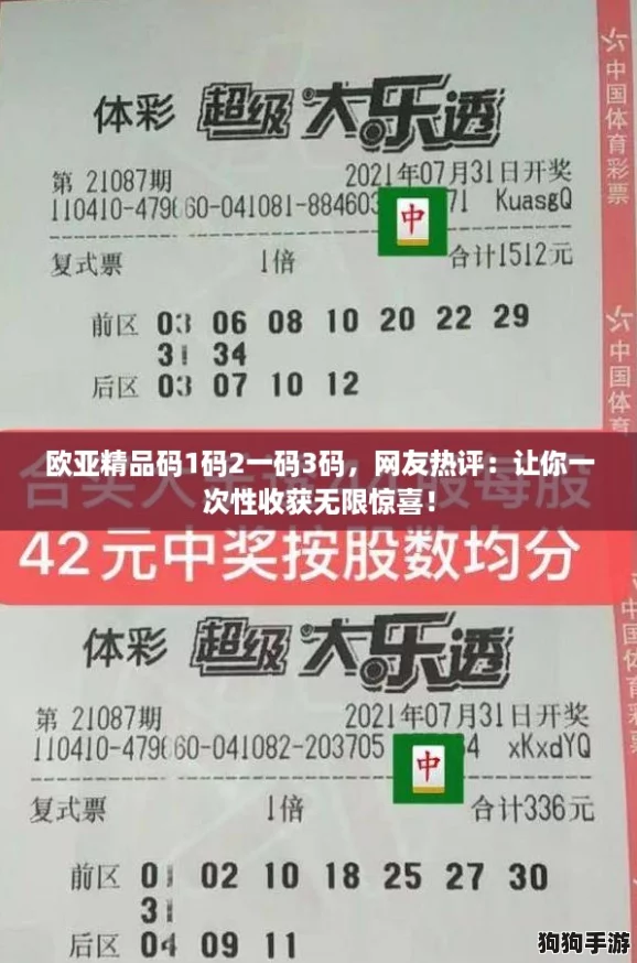 欧亚精品码1码2一码3码，网友热评：让你一次性收获无限惊喜！