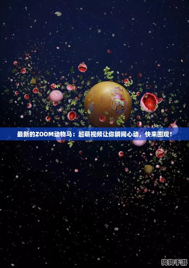 最新的ZOOM动物马：超萌视频让你瞬间心动，快来围观！
