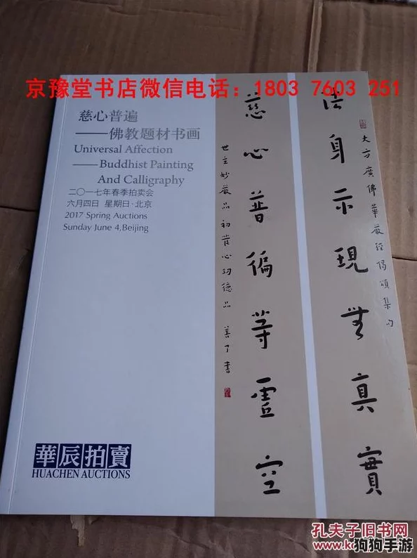 燕云十六声：慈心镇残佛之谜，静默任务深度攻略指南