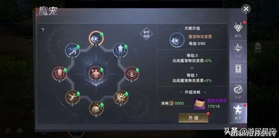 《白荆回廊》深度：家烙痕独特效果，解锁角色情感与战力的隐秘纽带！