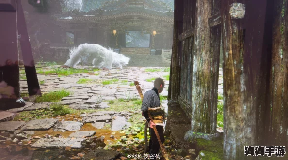 《黑神话：悟空》中温里散的隐秘获取策略，独家攻略来袭！