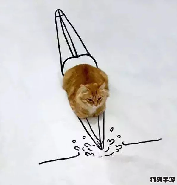 奇趣：刀刀兄弟独创的逗猫垂钓术，萌宠轻松上钩秘籍！