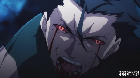 FGO2019情人节庆典：加成策略大，精选从者礼装效能深度解析！