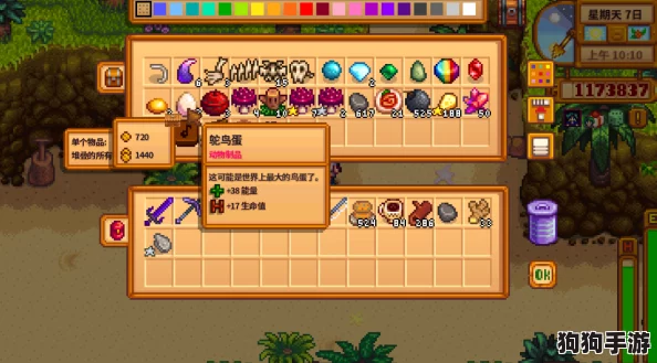 星露谷物语：高效鸵鸟蛋孵化神器，独家获取攻略大放送！