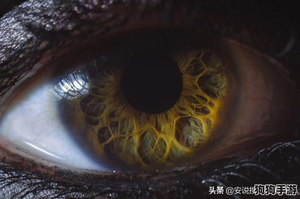 解锁仙境之门:终极战力飙升秘籍与深度攻略 解锁仙境之门:终极战力飙升秘籍与深度攻略