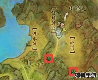 剑网3手游：酒海秘境寻小龟，独家任务攻略大放送！
