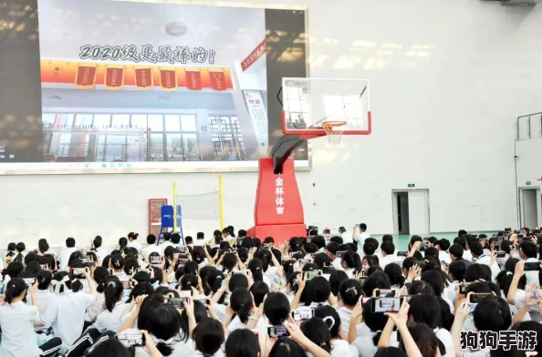 梦回江湖，君盼谁与共赴荣耀征程：顶尖阵容策略解析