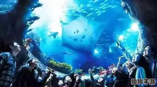 探索方舟深海秘境：进化之旅中最佳水下生物大
