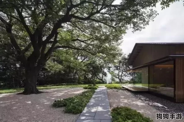 打造梦幻居所：心动小镇房屋设计全攻略，解锁独家美学秘籍！