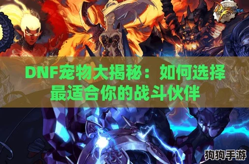 《地下城勇士》深度解析：最强宠物伴侣，谁才是你的最佳战斗伙伴？