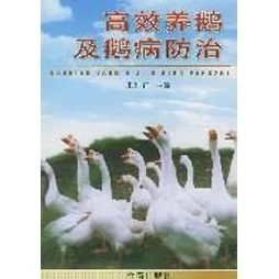 探秘高效捕鹅术：精选场景，智擒大鹅秘籍全攻略