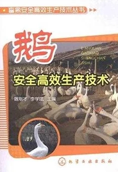 探秘高效捕鹅术：精选场景，智擒大鹅秘籍全攻略