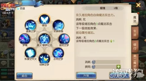 《妖精的尾巴》魔导少年：治愈之光，探索神秘疗愈技能奥义！