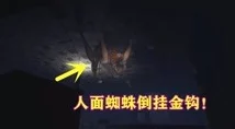 2024惊悚巅峰：必探诡谲游戏秘境，人气诡异佳作大盘点！
