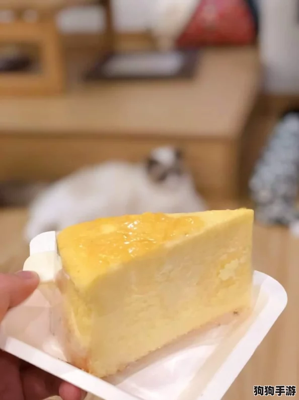 纸萌猫乐园：超人气店员实力榜单，顶级服务萌翻你的排名盛宴！