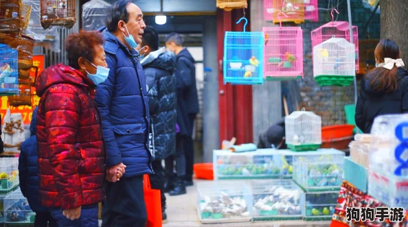 起源之地，踏上奇幻探险征途：探索未知家园的非凡之旅