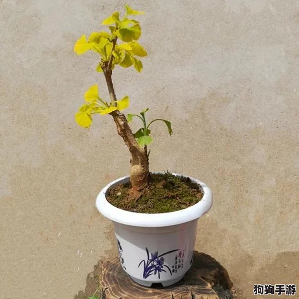 《我的世界》创意园艺必备：自制堆肥桶详细攻略，打造绿色生态家园！